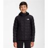 Kids * | The North Face Thermoball Hooded Jacket Boy'S